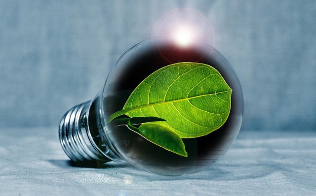 light bulb 2631864 640